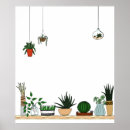 Search for potted posters Succulent