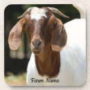 Search for herd coasters Livestock