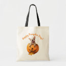 Search for jackolantern bags Humor