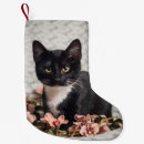 Search for tuxedo cat christmas stockings Kitten