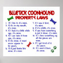 Search for bluetick coonhound Funny