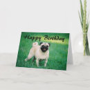 Search for kennel cards Pet