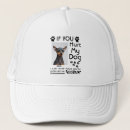 Search for dog breed hats Corgi