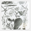 Search for zoology stickers Lithograph