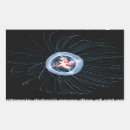 Search for immortal stickers Rebirth