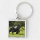 Search for mcdonalds key rings Joe