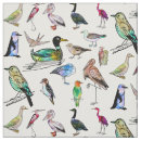 Search for ornithological Watercolor