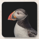 Search for puffin coasters Animal