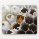 Search for wasp mouse mats Insect