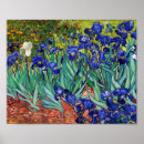 Search for vintage irises posters Vincent