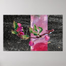 Search for cherry red posters Pink