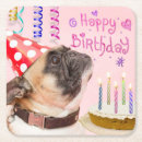 Search for pug coasters Cute