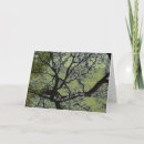 Search for opening night cards Good luck