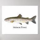 Search for salmon fish posters Trout