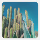 Search for prickly pear stickers Desert