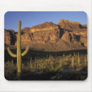 Search for pipe mouse mats Usa