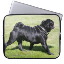 Search for panting electronics Walking
