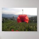 Search for tuscany posters Florence