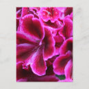Search for water drop postcards Red