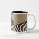 Search for masai mugs Animals in the wild