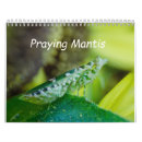 Search for insect calendars Bugs