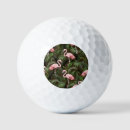 Search for flamingo golf balls Beach