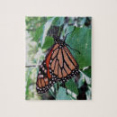 Search for monarch butterfly puzzles Garden