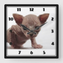 Search for sphynx cat art Kitten