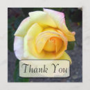 Search for yellow roses thank you cards Photography