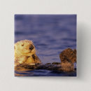 Search for ocean otter badges Nature