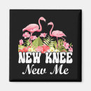 Search for knee magnets Candy