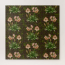 Search for spring bulb Pink