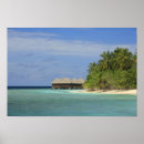 Search for atolls posters Palm tree