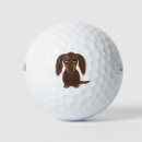 Search for dachsie Dachshund