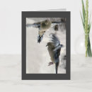 Search for mourning dove cards Birds