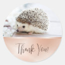 Search for hedgehog thank you stickers Cute