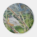 Search for robin blue magnets Watercolor