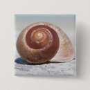 Search for seashell badges Sand
