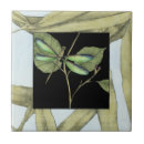 Search for leaves tiles Insects