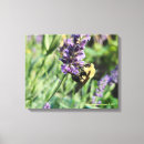 Search for bumble bee canvas prints Summer