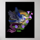 Search for bluejays posters Bird