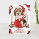 Search for beagle christmas cards Puppy