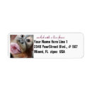 Search for orangutan return address labels Animal