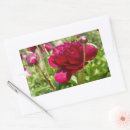 Search for peonies stickers Burgundy