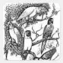 Search for black and white bird stickers Vintage