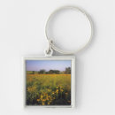 Search for nwr key rings No people