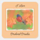 Search for orioles stickers Orange
