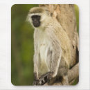 Search for mcdonald mouse mats Africa