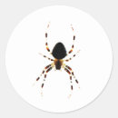 Search for weaver stickers Wildlife