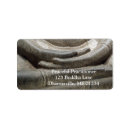 Search for yoga return address labels Buddhist